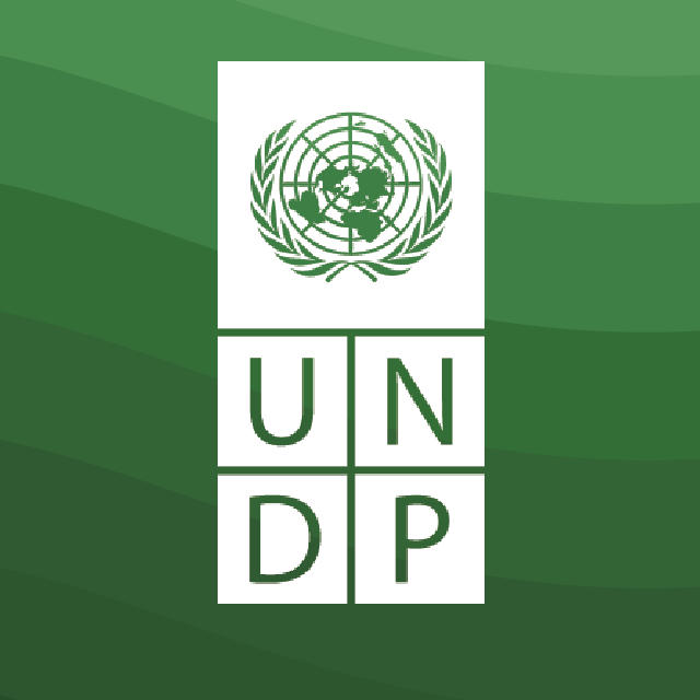 UNDP